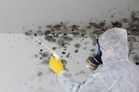 Why You Should Choose Our Mold Remediation Services in Alamo, GA